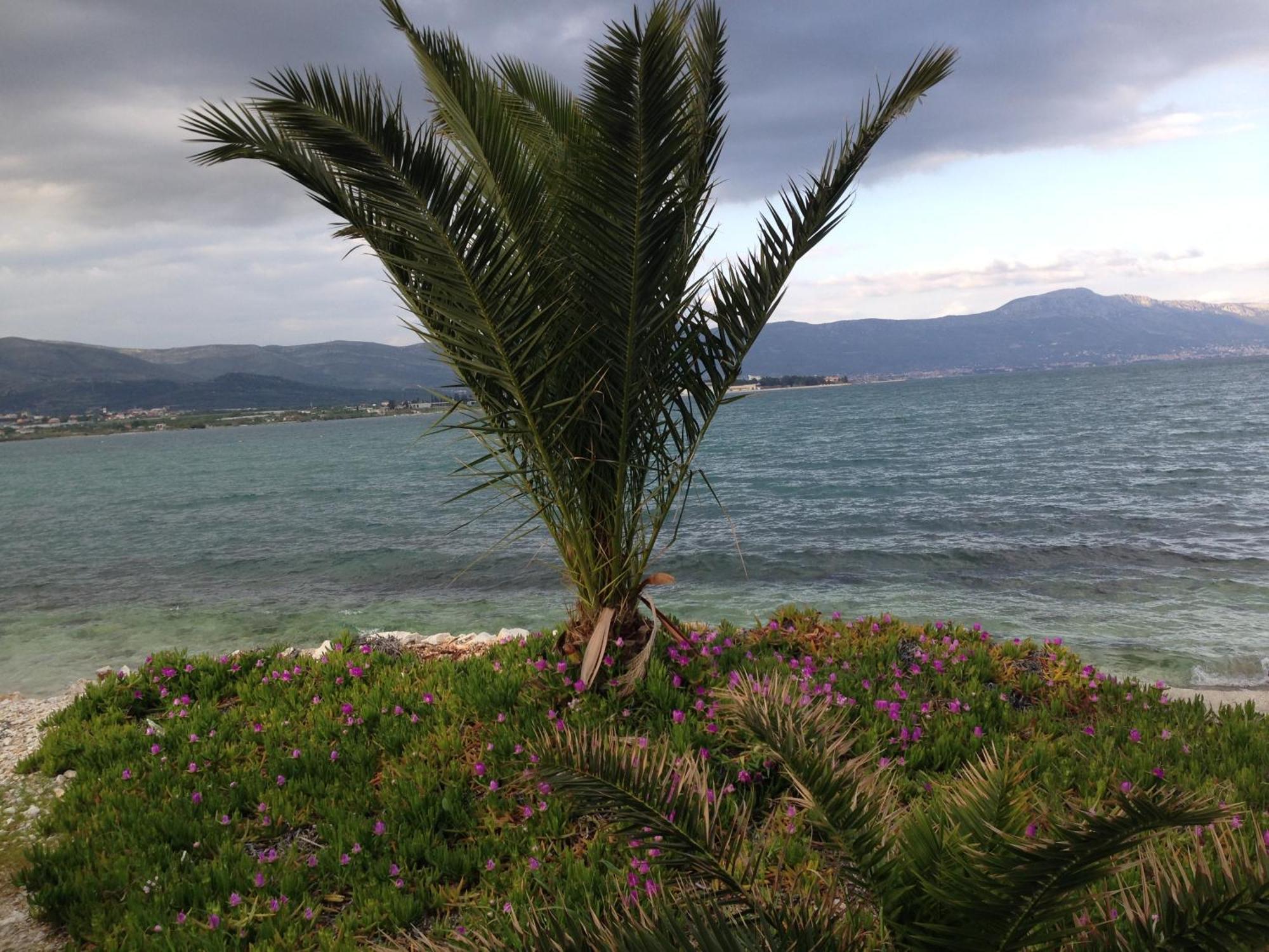 Apartments Exclusive Palace II Trogir Bagian luar foto